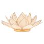 Preview: Lotus Teelichthalter natur goldfarbig