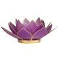 Preview: Lotus Teelichthalter lila goldfarbig